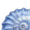 🐚