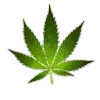 🌿