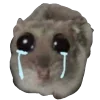 😭