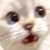 😱
