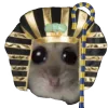 🐫