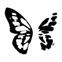 🦋