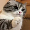 🥺