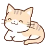 🐱