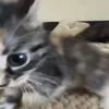 😐