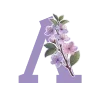 🌸
