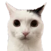 😐