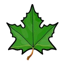 🍁