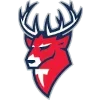 🦌