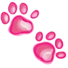 🐾