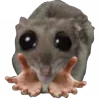 🤲