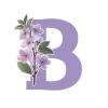 🌸