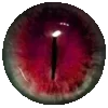 👁