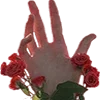 🌹