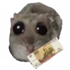 💵