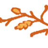 🤩