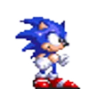🦔