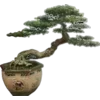 🎎
