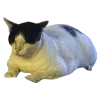 🐈