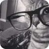 🤓