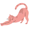 🐈
