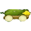 🌽
