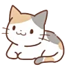 🐱
