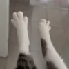 🤩