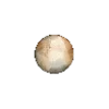 ⚪️