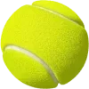 🎾