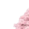 🌸