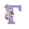 🌸