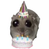 🍰