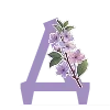 🌸
