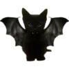 🐈‍⬛