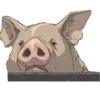 🐷