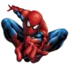 🕸