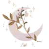 🌙