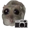 📸