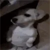 🫥