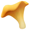 🍄