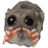 🤲