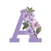 🌸