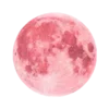 🌙