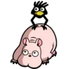 🐷