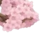 🌸