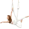 🪰