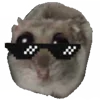 😎