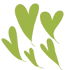 💚