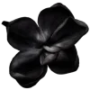 🌺